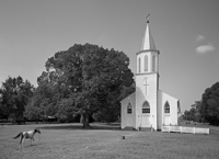 Louisiana Catholic Churches
