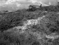 Fort Pickens