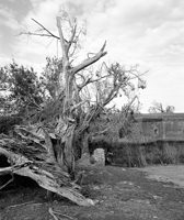 Coastal Defense Forts